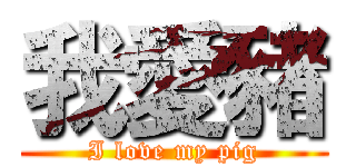 我愛豬 (I love my pig)