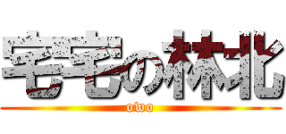 宅宅の林北 (owo)