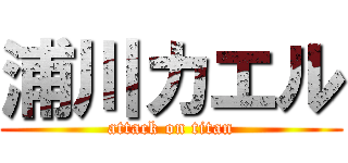浦川カエル (attack on titan)