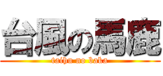 台風の馬鹿 (taihu no baka)