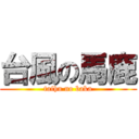 台風の馬鹿 (taihu no baka)