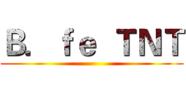 Ｂ．ｆｅ  ＴＮＴ ()