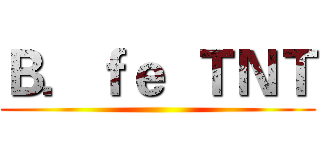 Ｂ．ｆｅ  ＴＮＴ ()