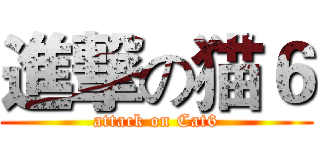 進撃の猫６ (attack on Cat6)