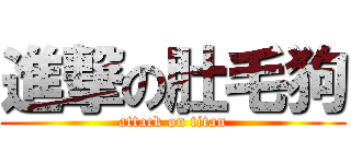 進撃の肚毛狗 (attack on titan)