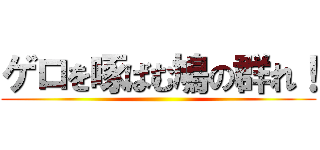 ゲロを啄ばむ鳩の群れ！ ()