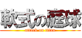 軟式の庭球 (attack on titan)