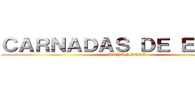 ＣＡＲＮＡＤＡＳ ＤＥ ＥＲＷＩＮ (BRYAN VERA)