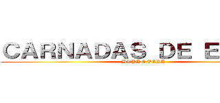 ＣＡＲＮＡＤＡＳ ＤＥ ＥＲＷＩＮ (BRYAN VERA)