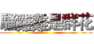 騷雞雞是群花 ()