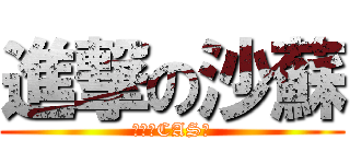 進撃の沙蘇 (進撃のCAS主)