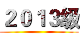 ２０１３级 ()
