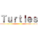 Ｔｕｒｔｌｅｓ ()