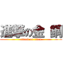 進撃の金 鋼 (attack on titan)