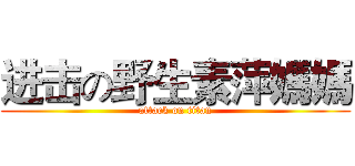进击の野生素萍媽媽 (attack on titan)