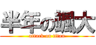 半年の颯大 (attack on titan)