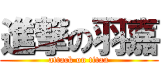 進撃の羽嘉 (attack on titan)