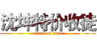 沈坤特价收徒 (attack on titan)