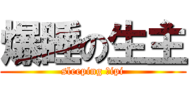 爆睡の生主 (sleeping ｓipi)