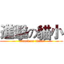 進擊の貓小 (attack on titan)