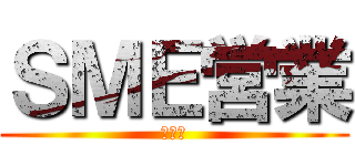 ＳＭＥ営業 (首都圏)