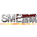 ＳＭＥ営業 (首都圏)