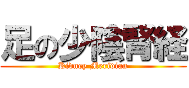 足の少陰腎経 (Kidney Meridian)