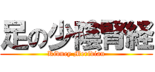 足の少陰腎経 (Kidney Meridian)