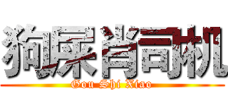 狗屎肖司机 (Gou Shi Xiao)