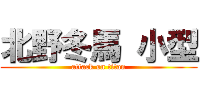 北野冬馬 小型 (attack on titan)