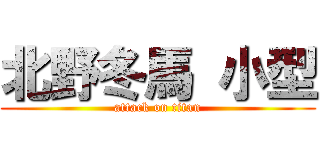 北野冬馬 小型 (attack on titan)