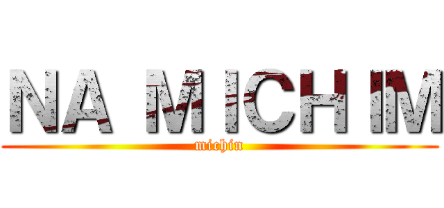 ＮＡ ＭＩＣＨＩＭ (michin)