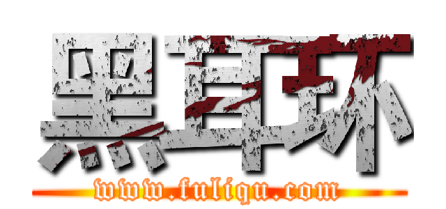 黑耳环 (www.fuliqu.com)