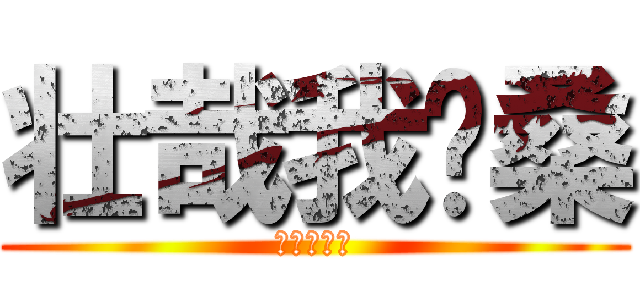 壮哉我银桑 (银他妈威武)