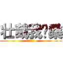 壮哉我银桑 (银他妈威武)