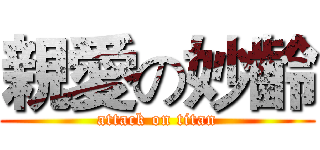 親愛の妙齡 (attack on titan)