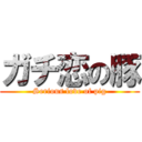 ガチ恋の豚 (Serious love of pig)