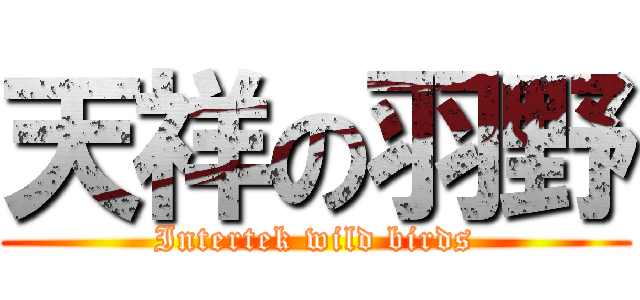 天祥の羽野 (Intertek wild birds)