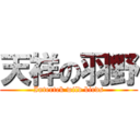 天祥の羽野 (Intertek wild birds)