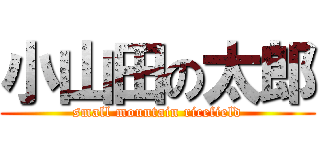 小山田の太郎 (small mountain ricefield)