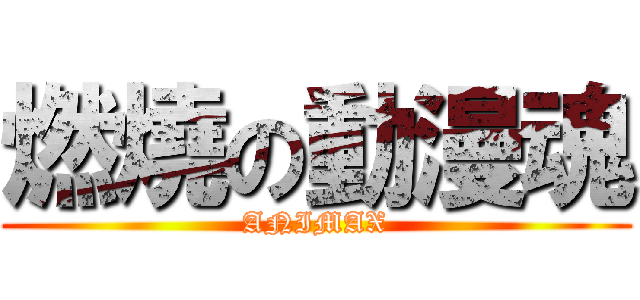 燃燒の動漫魂 (ANIMAX)