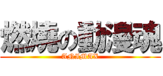 燃燒の動漫魂 (ANIMAX)
