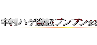 中村ハゲ激怒プンプンまるｗｗｗ ()