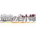 进击の白小烽 (白氏的传说 人狠话不多)