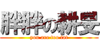 胖胖の耕旻 (you are too fat)