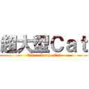 超大型Ｃａｔ (Extra-Large Cat)