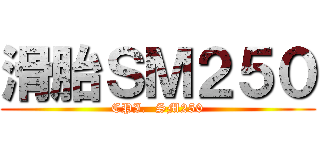 滑胎ＳＭ２５０ (CPI.  SM250)