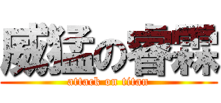 威猛の睿霖 (attack on titan)