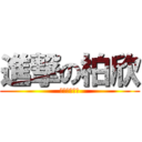 進撃の柏欣 (網路尋找自信)