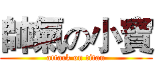 帥氣の小寶 (attack on titan)